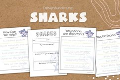 Sharks Educational Activities Product Image 1