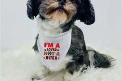 I'm A Lover Not A Biter SVG, Dog Bandana SVG Design Product Image 3