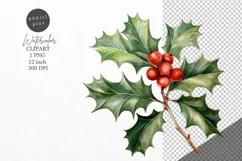 Christmas clipart, Holly clipart, Winter clipart Product Image 1