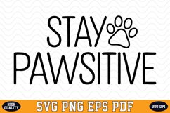 Stay Pawsitive SVG | Quotes | SVG Cut files Product Image 1