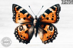 Halloween Butterfly Clipart - Halloween Sublimation PNG Product Image 1