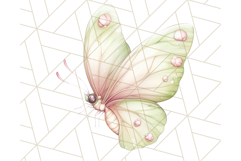 Pastel Fairies and Butterflies PNG, Spring Fantasy Clipart Product Image 3