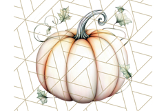 Fall Pumpkin Clipart PNG, Autumn Pumpkins, Jewel Tones Png Product Image 3