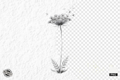 Summer Wildflowers &amp; Songbird Clipart Product Image 1