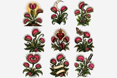 Retro Tattoo Venus Flytrap Clipart PNG, Traditional Tattoo Product Image 6