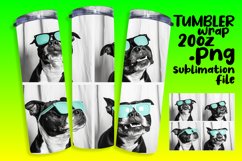 Lively Dog Portraits Tumbler Wrap for Sublimation Product Image 1