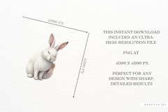 Summer White Bunny Meadow Clipart Product Image 7