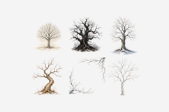Bare Winter Trees PNG Clipart Bundle | Winter Tree Product Image 5