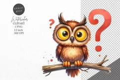 Owl clipart, Bird clipart, Funny clipart Product Image 1