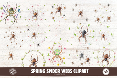 Spring Spider Webs Clipart Product Image 1