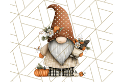 Thanksgiving Gnome Clipart PNG Cute Fall Gnomes, Gnome Png Product Image 3
