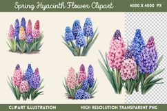 Spring Hyacinth Flower Clipart PNG Product Image 1