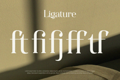 Qualifies - Serif Font Product Image 2