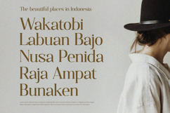 Qualifies - Serif Font Product Image 3