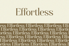 Qualifies - Serif Font Product Image 7