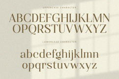 Qualifies - Serif Font Product Image 9