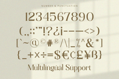 Qualifies - Serif Font Product Image 10