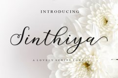 The Calligraphy Font Bundle Vol ll Product Image 7