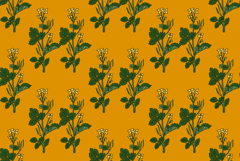 Botanical floral seamless pattern with celandine flowers bg Product Image 1