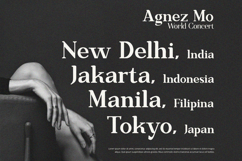 Mirevique Regalia - Serif Font Product Image 4