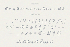 Bellise - Script Font Product Image 9