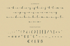 Starella - Script Font Product Image 8