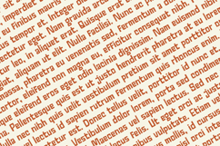 Linkage - Display Font Product Image 5