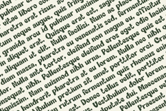 Grand Canyon - Display Font Product Image 2