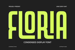 Floria - Display Font Product Image 1