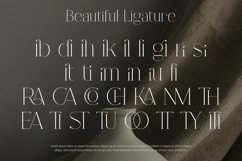 Fracture - Serif Font Product Image 3