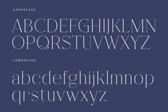 Fracture - Serif Font Product Image 8
