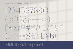 Fracture - Serif Font Product Image 9