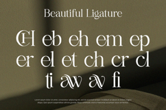Aethelion - Serif Font Product Image 4