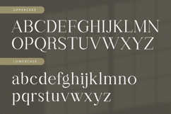 Aethelion - Serif Font Product Image 9
