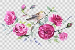 Bouquet with roses and a bird Watercolor png Product Image 2