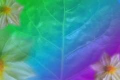 abstract floral sublimation &amp; printing Product Image 1