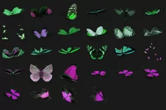 200 BUTTERFLIES TRANSPARENT PNG FILES, PHOTOSHOP OVERLAYS Product Image 13