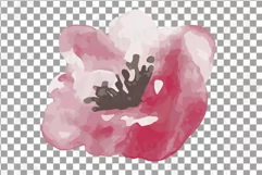 Burgundy and coral pink watercolor floral wedding clip art, Product Image 18