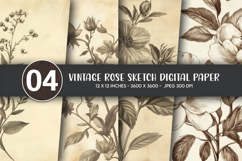 Vintage Rose Sketch Digital Paper Product Image 1