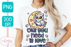Owl you need is love PNG, Valentines day sublimation PNG Product Image 1