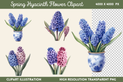Spring Hyacinth Flower Clipart PNG Product Image 1