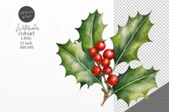 Christmas clipart, Holly clipart, Winter clipart Product Image 1