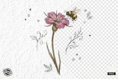 1920 Botanical Summer Wildflowers Clipart Product Image 1