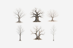 Bare Winter Trees PNG Clipart Bundle | Winter Tree Product Image 6