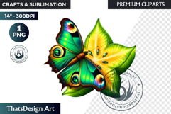Vibrant Butterfly with Fruit PNG, Tropical Summer Clipart Product Image 1