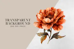 Watercolor Terracotta Flowers Clipart, PNG. Product Image 2