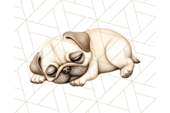 Pug Clipart PNG, Cute Dog Art, Funny Puppy Illustration Png Product Image 4