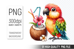 Summer Clipart PNG Bundle, Beach Clipart Design Product Image 6