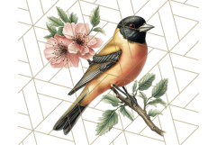 Vintage Song Bird Clipart PNG, Botanical Bird Art Clip Art Product Image 4
