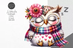 Owl clipart, Owl sleeping clipart, Cute clipart Product Image 1